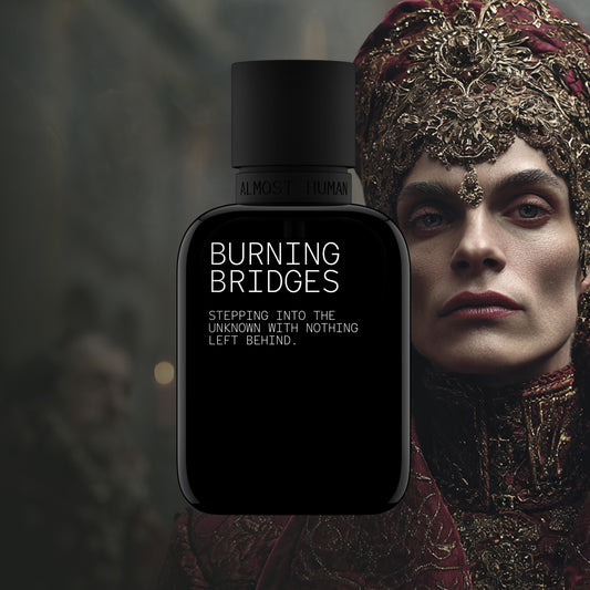 BURNING BRIDGES