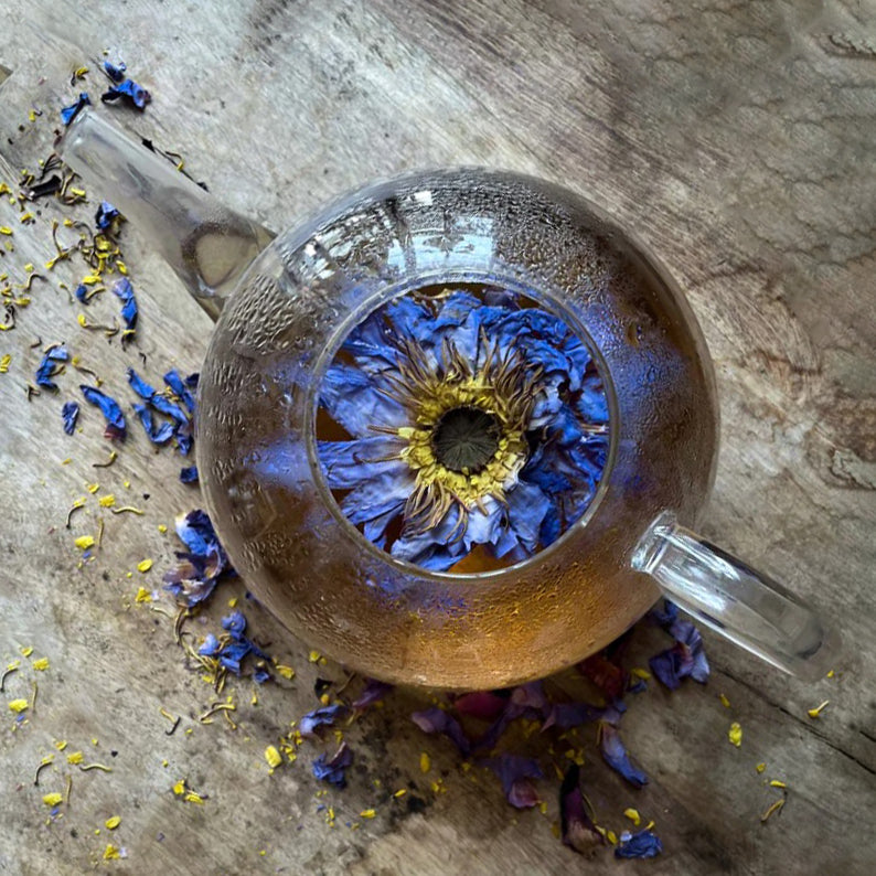 Blue Lotus