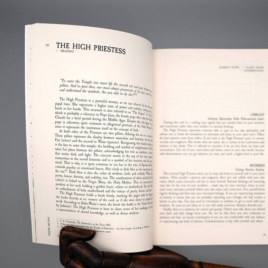 Terra Volatile Book Pocket Edition