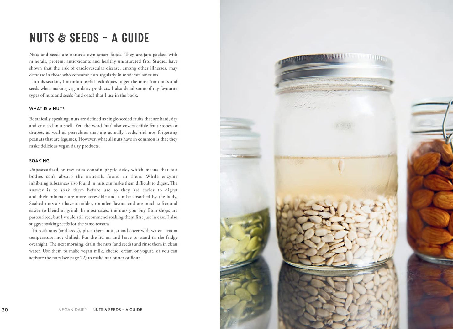 Vegane Milchprodukte