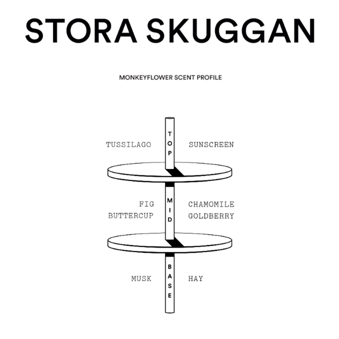 Stora Skuggan Sample Set