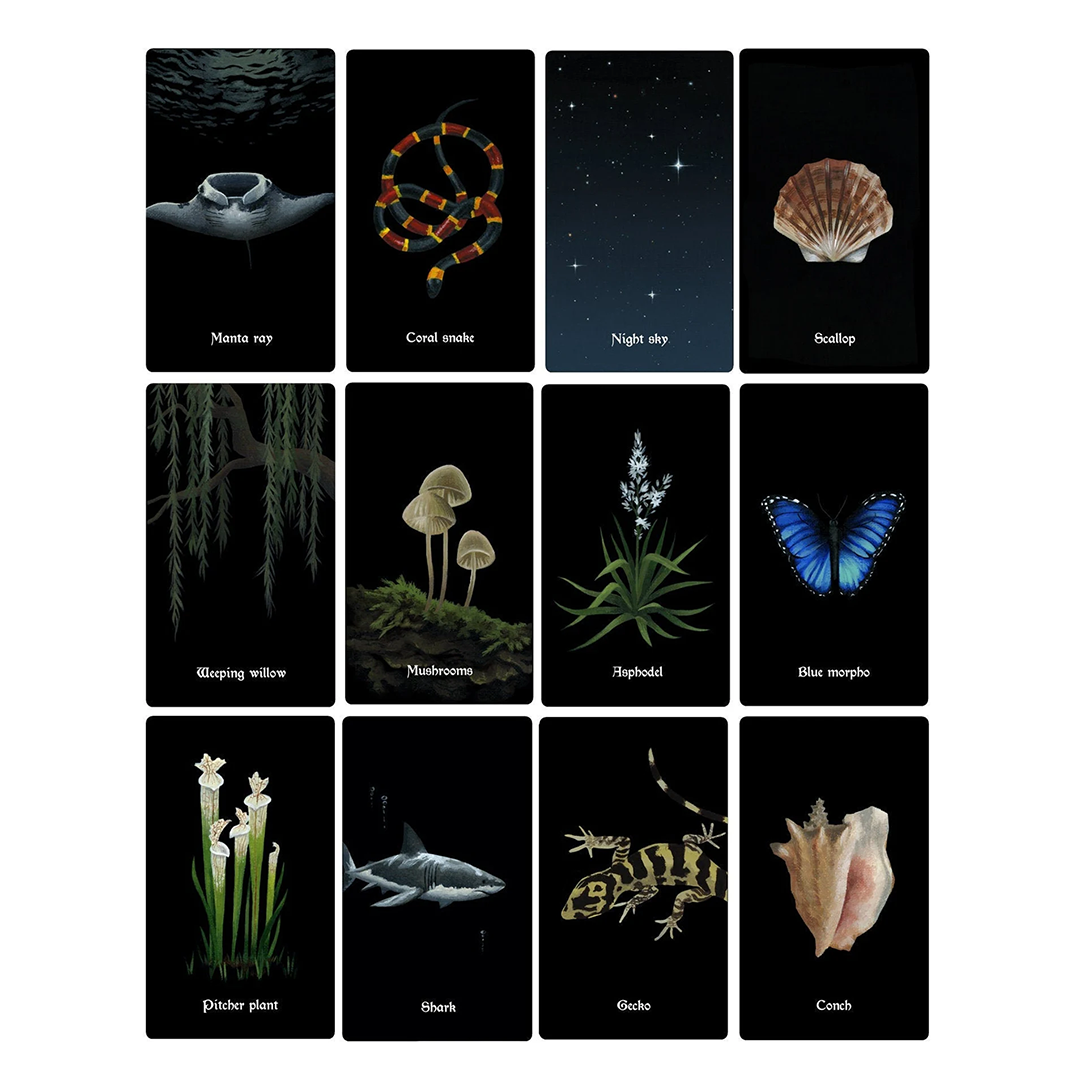 Nocturna Oracle