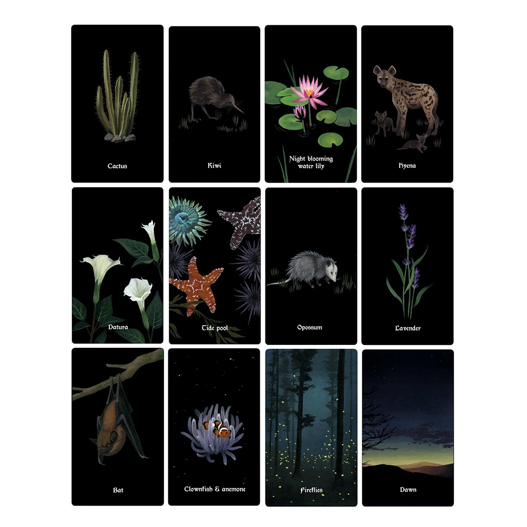 Nocturna Oracle