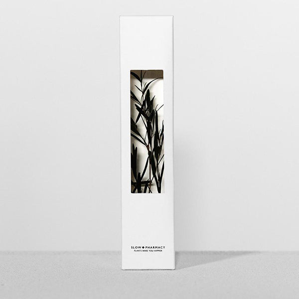 Pflanze in Flasche 200 ml _ Melaleuca Alternifolia
