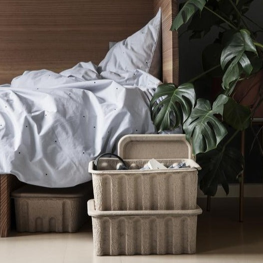 Papierzellstoffbox _ Groß _ 2er-Set