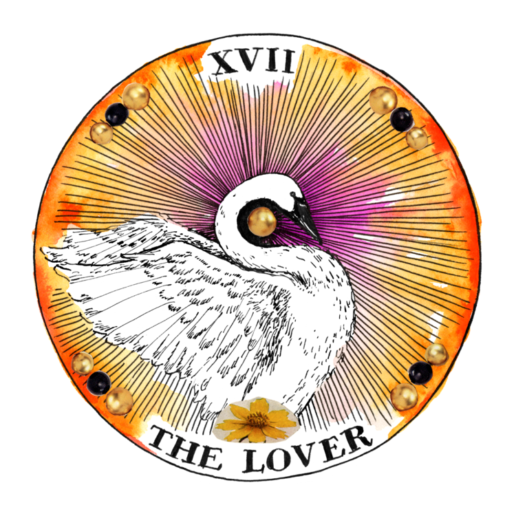 The Wild Unknown Archetypes _ Oracle Deck & Guidebook