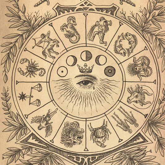 Materia Prima: Ein Ausdruck der Materie