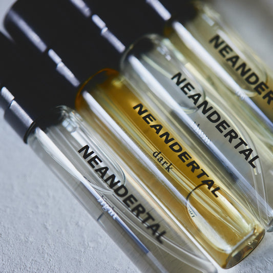 Neandertal Discovery Set