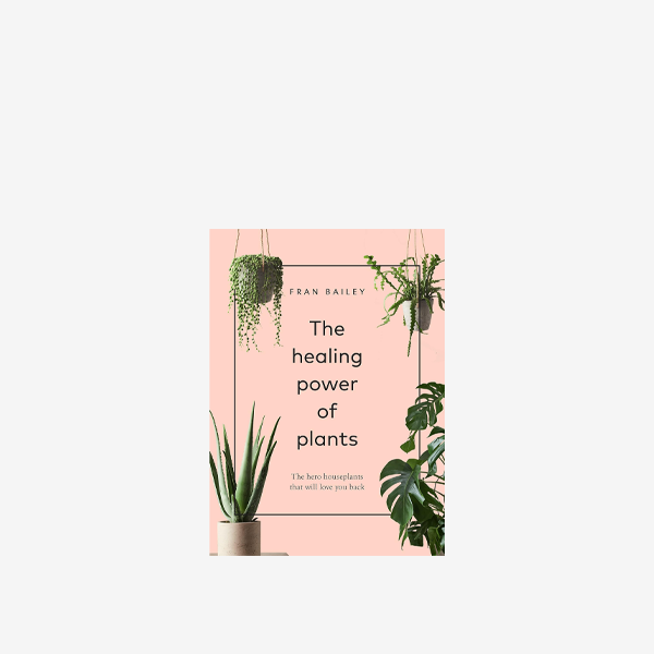 The Healing Power of Plants