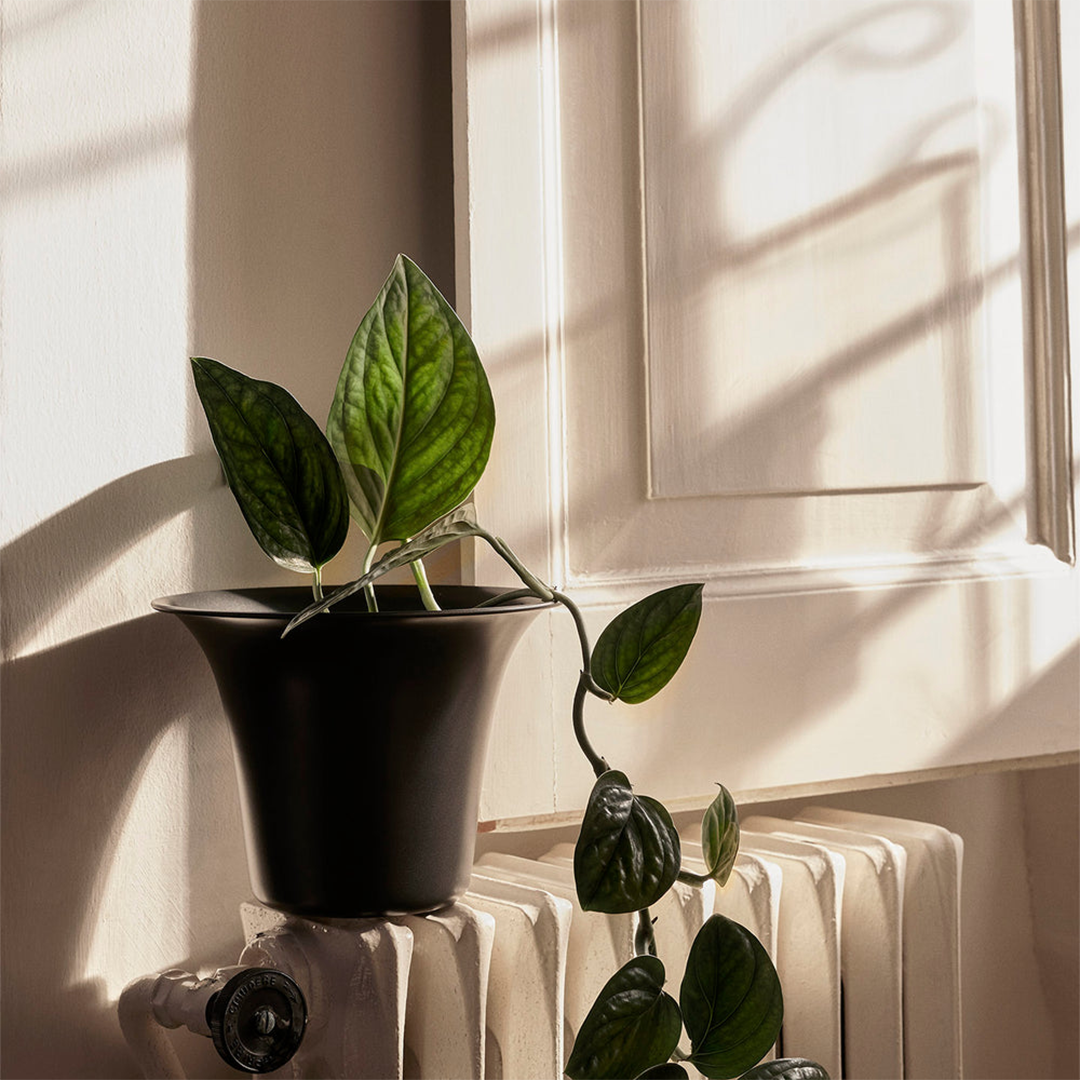 Spun Alu Pot
