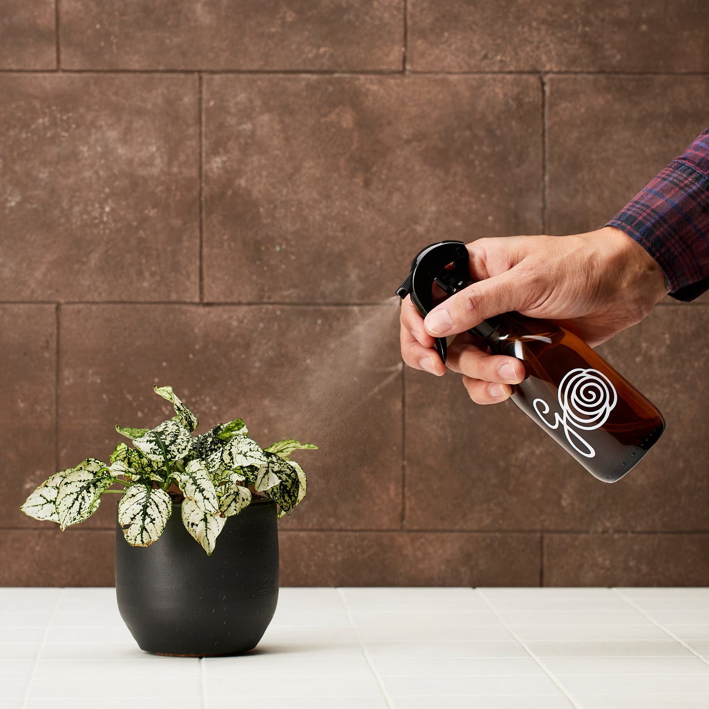 Plant Mister Glass Bottle