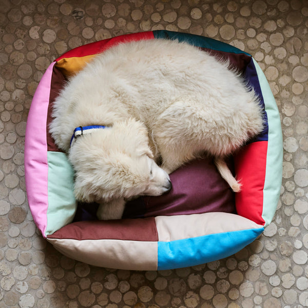 Dog Small Bed