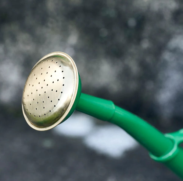 Watering Can _ Green