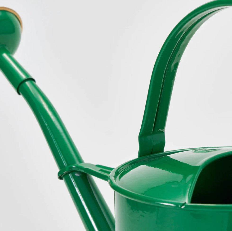 Watering Can _ Green