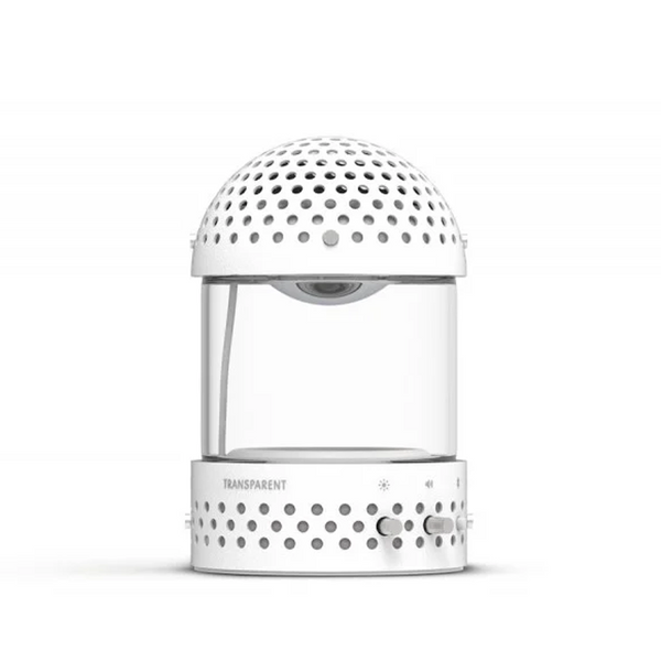 Light Speaker Lantern _ Black or White
