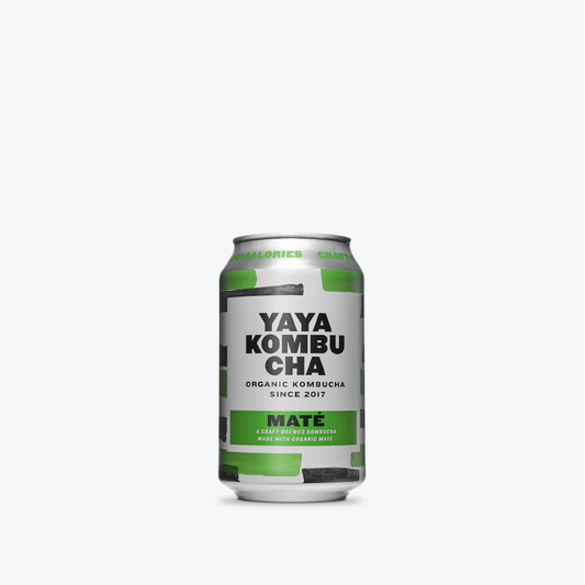 Maté Kombucha