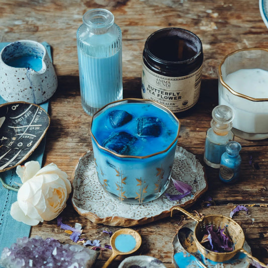 Schmetterlingserbsenblume _ Blauer Heiler