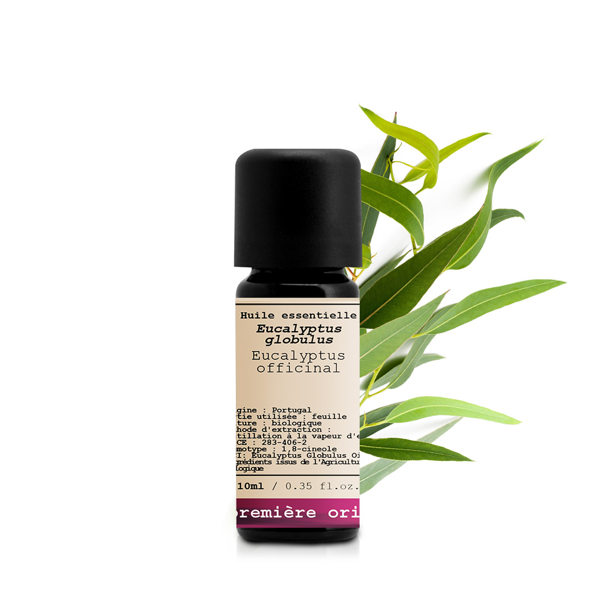 Globulus Eucalyptus _ Essential Oil