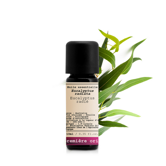 Radiata Eucalyptus _ Essential Oil