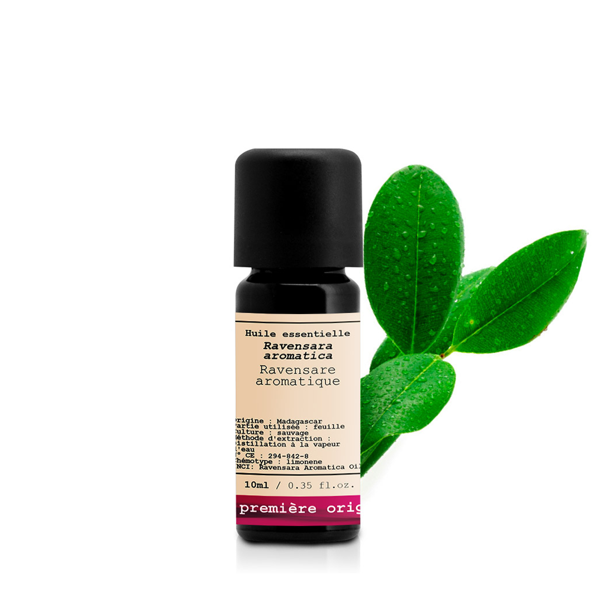 Ravensara Aromatica _ Essential Oil