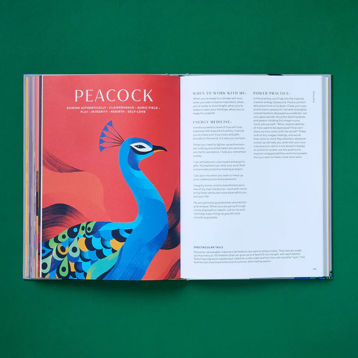 Tierkraftbuch