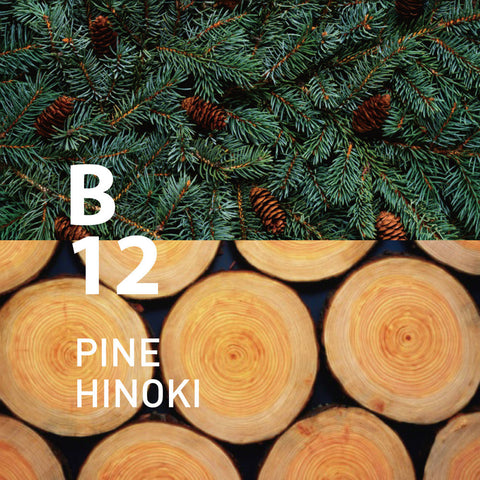 B12 _ Pine Hinoki _ EO