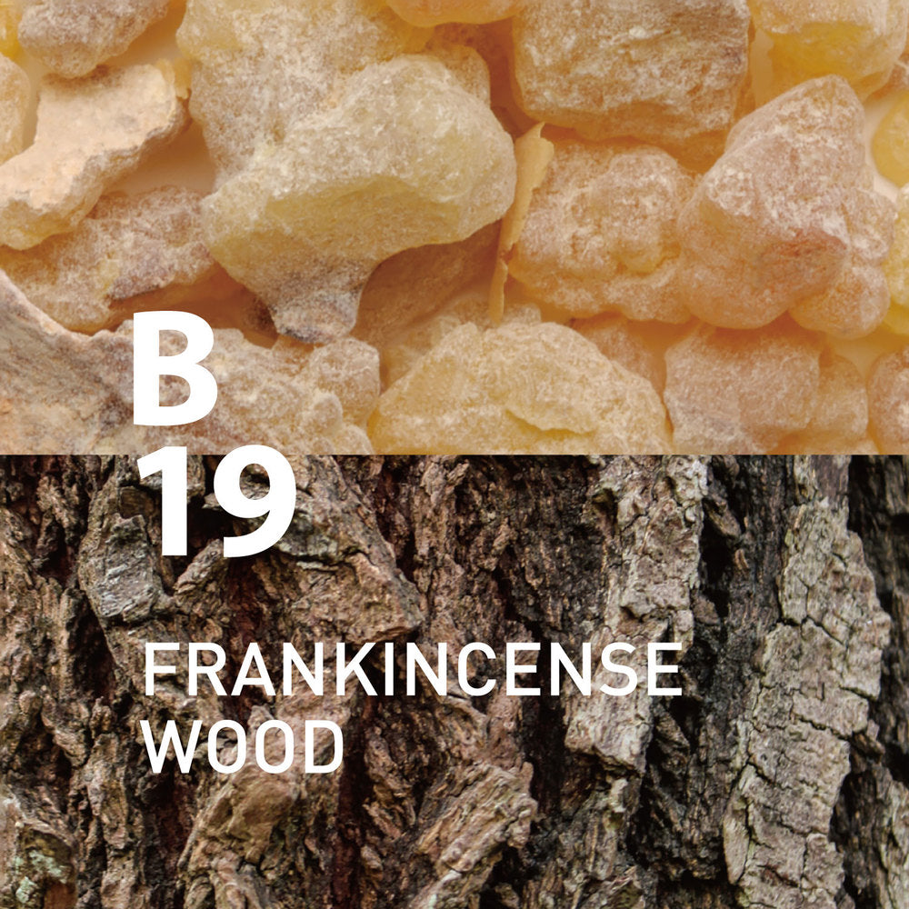 B19 _ Frankincense Wood _ EO
