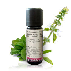 Basil Estragol Type _ Essential Oil