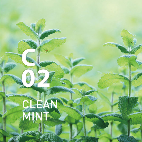 C02 _ Clean Mint Room Spray