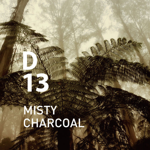 D13 _ Misty Charcoal _ EO