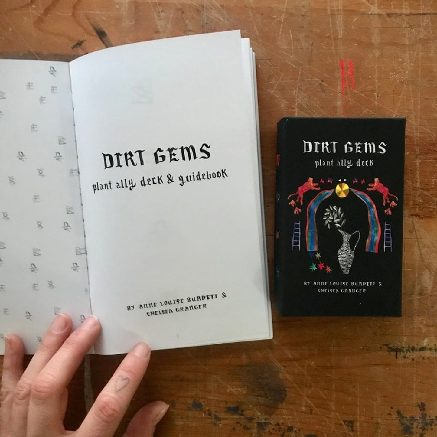 The Dirt Gems _ Plant Ally Oracle Deck &amp; Guidebook 