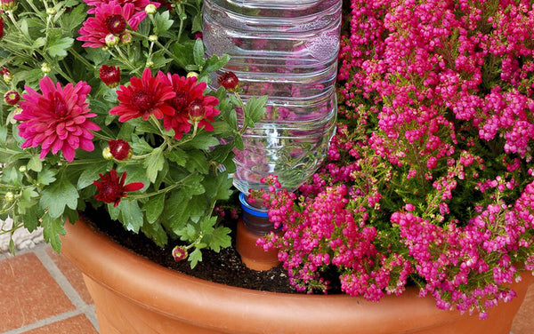 Watering Aid for Indoor and Outdoor Plants _ Easy or Easy XL