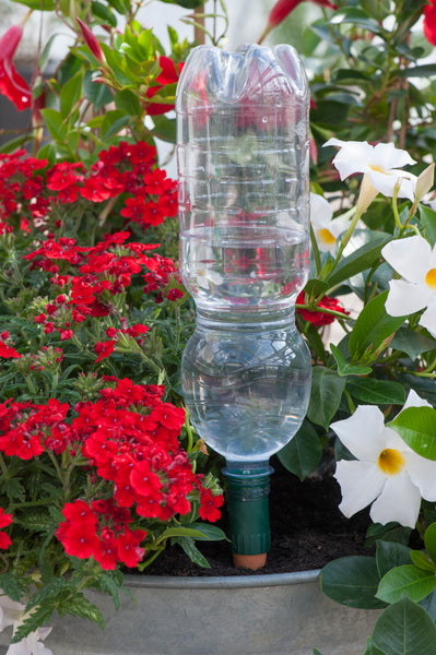 Watering Aid for Indoor and Outdoor Plants _ Easy or Easy XL