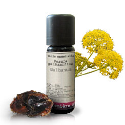 Galbanum _ Essential Oil