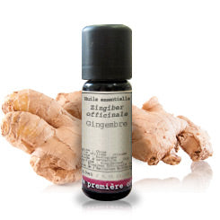 Ginger _ Essential Oil