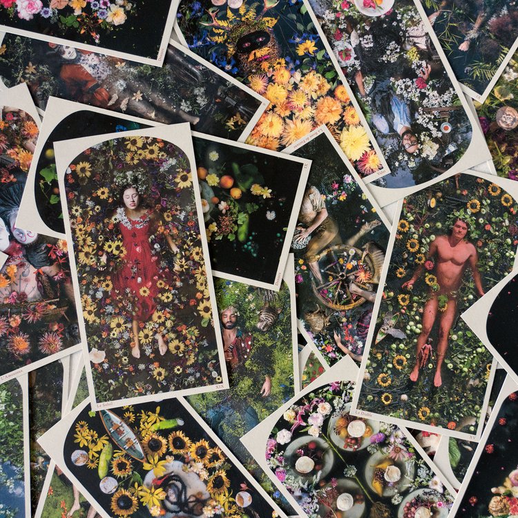 Die ertrinkende Welt _ Tarot-Deck und Ratgeber