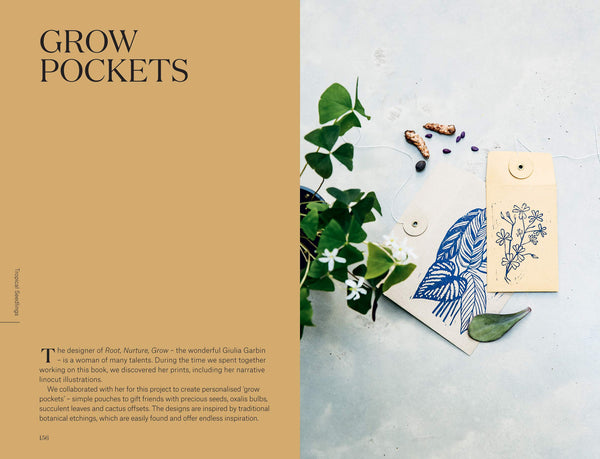 Root, Nurture, Grow