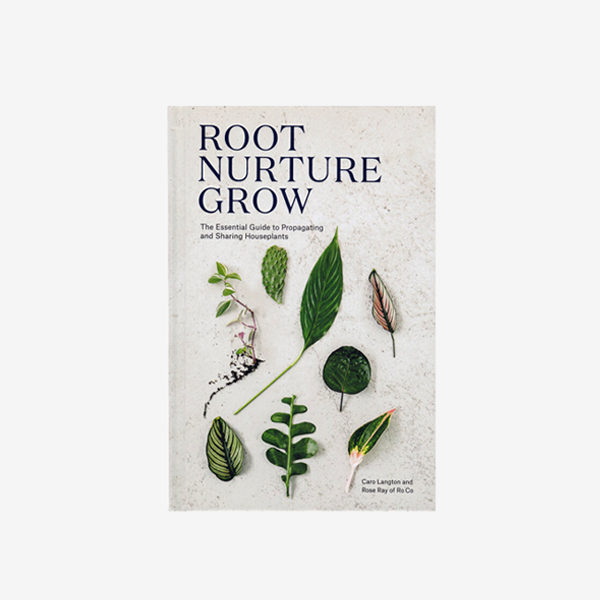 Root, Nurture, Grow