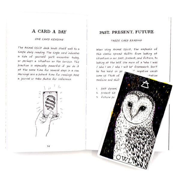 The Wild Unknown Animal Spirit Box Set _ Oracle Deck & Guidebook