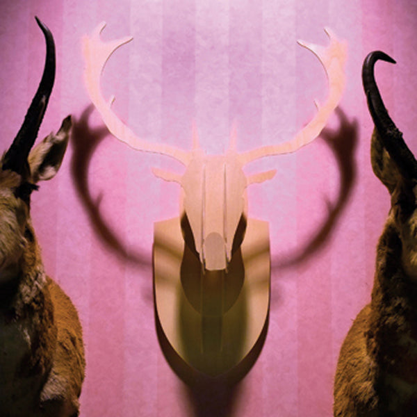 Deer Trophy